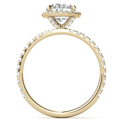 Yellow Gold Moissanite Oval Shape Halo Ring – LR00392